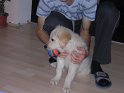 Iarna 2008 052
